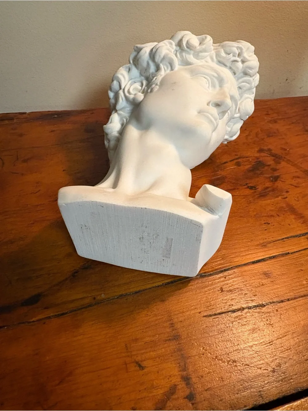 White Sculpted Bust Planter - Decorative David Head Vase